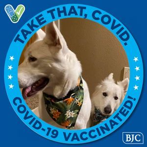 Meet your Posher, Beebee